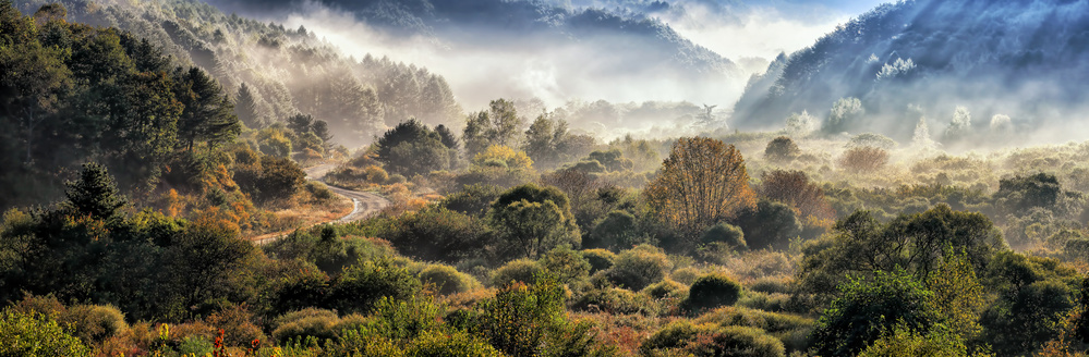 Secret gargen von Tiger Seo