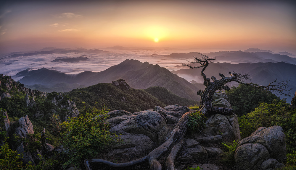 Sunrise on Top von Tiger Seo