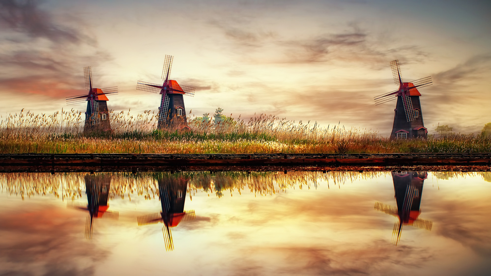 windmills on salt pond von Tiger Seo