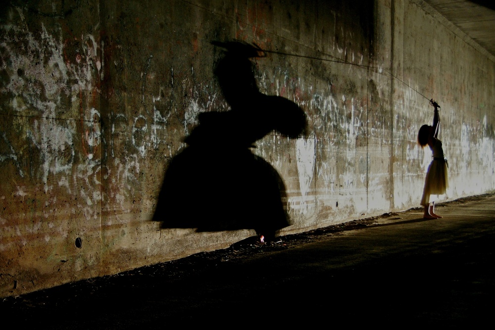 The shadow strikes back von Tihomir Trichkov