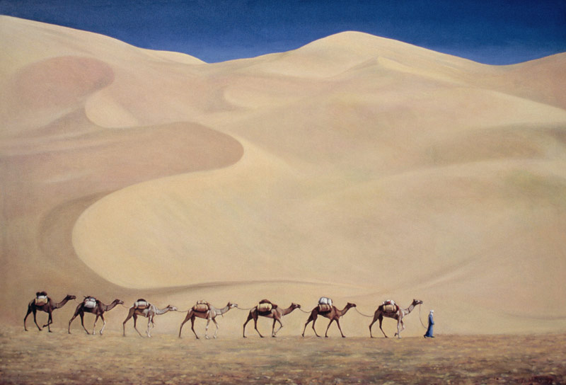 Camel Train von Tilly  Willis