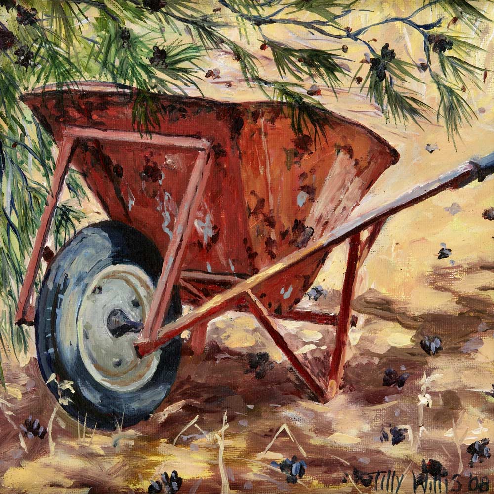 Rusty Wheelbarrow von Tilly  Willis