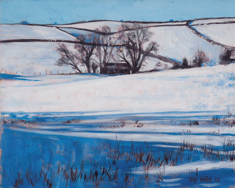 Snow Shadows von Tilly  Willis