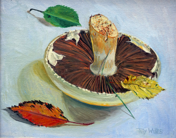 Autumnal Still life von Tilly  Willis