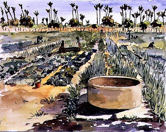 The Women''s Garden, Senegal, West Africa, 1997 (w/c on paper)  von Tilly  Willis