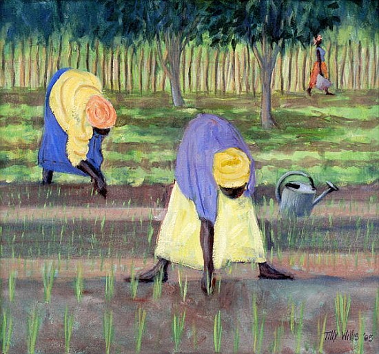 Women Gardening, 2005 (oil on canvas)  von Tilly  Willis