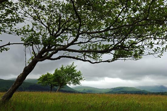 Schottisches Hochland von Tim Brakemeier