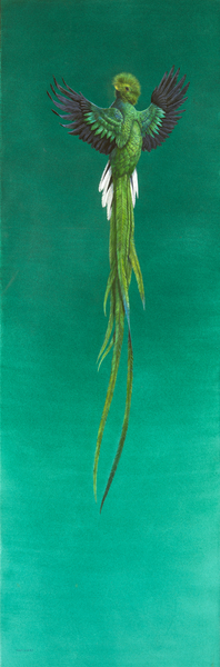 Quetzal von Tim Hayward