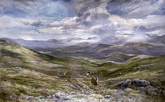 Kinrara, Aviemore, Scotland, 1988 (w/c on paper)  von Tim  Scott Bolton