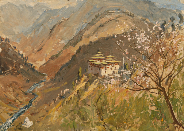 Tashigang Dzong von Tim  Scott Bolton