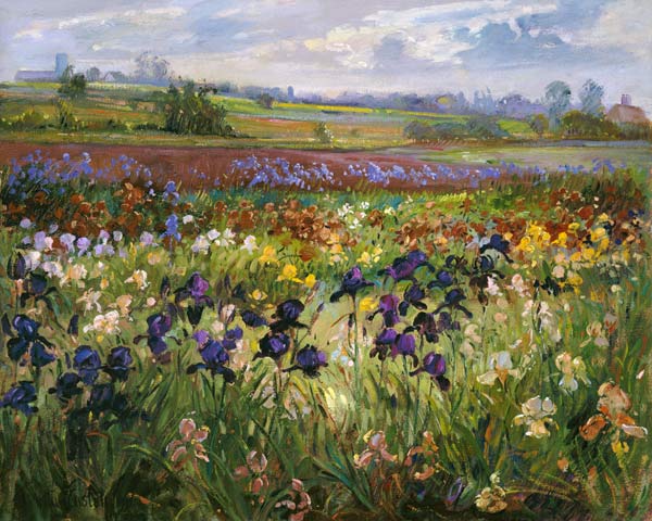 Across to Burgate  von Timothy  Easton