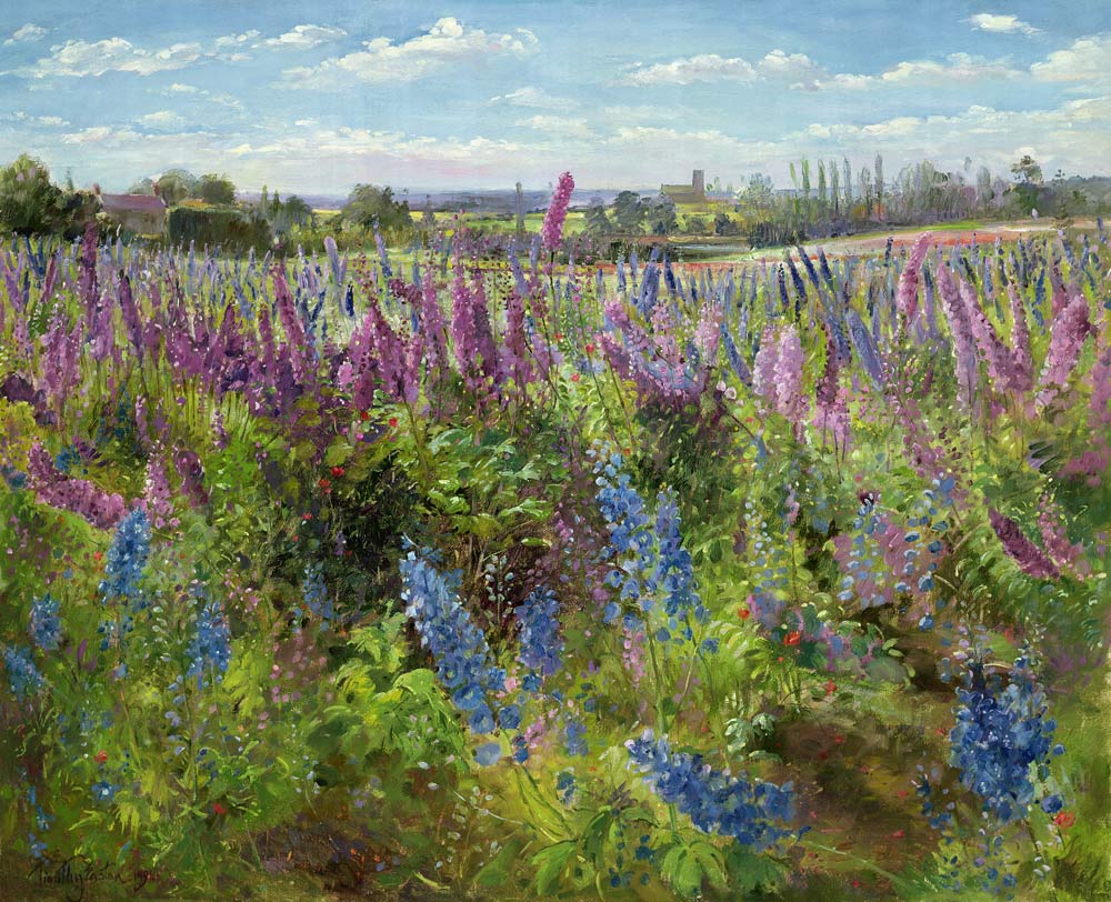 Delphiniums and Poppies, 1991  von Timothy  Easton
