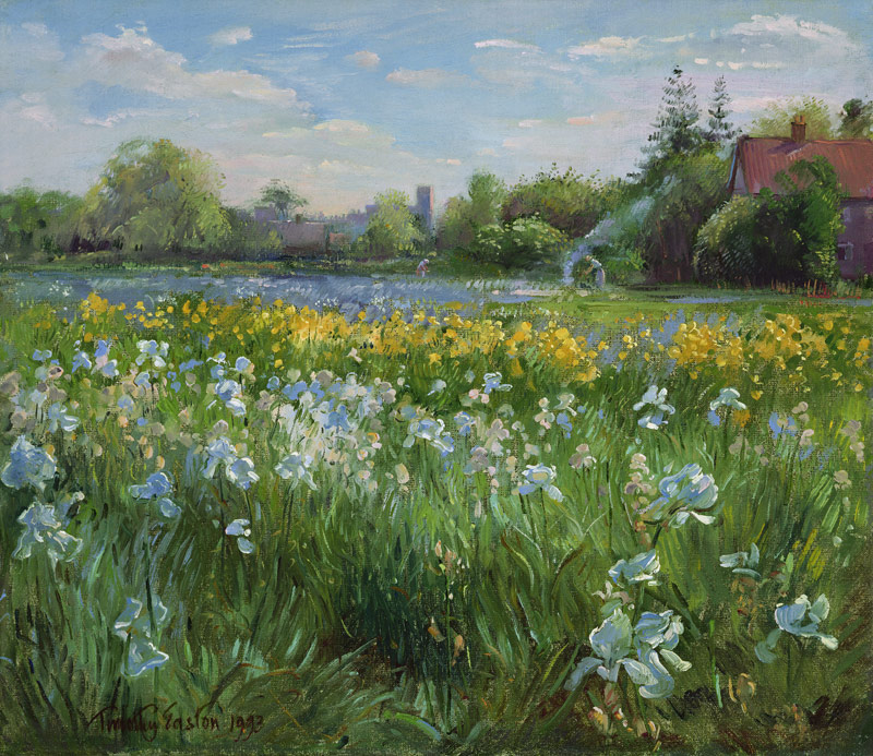 Bonfire and Iris Field, 1993  von Timothy  Easton