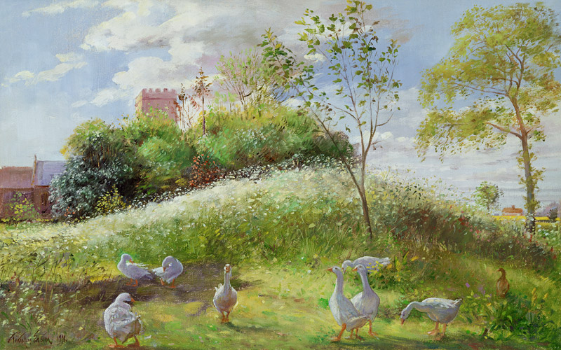 May Mount, 1991  von Timothy  Easton