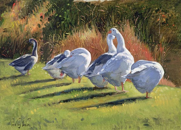 Moat Edge, Bedfield (oil on canvas)  von Timothy  Easton