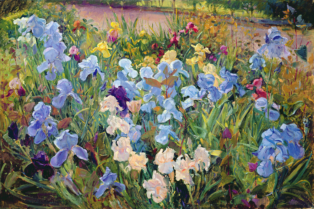 The Iris Bed von Timothy  Easton
