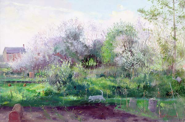 Allotment Stalker  von Timothy  Easton