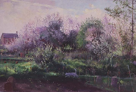 Allotment Stalker  von Timothy  Easton