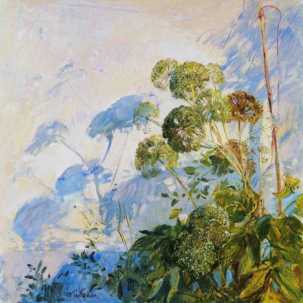 Angelica Shadows (oil on canvas)  von Timothy  Easton