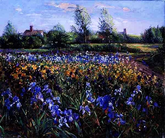 Blue and White, Irises Under an Evening Sky von Timothy  Easton