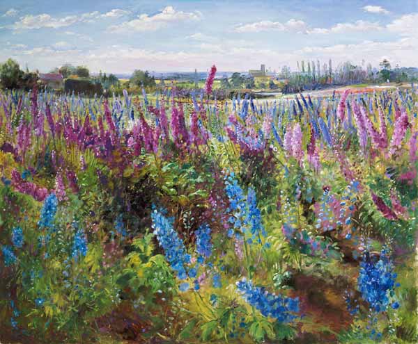 Delphinium Field and Church  von Timothy  Easton