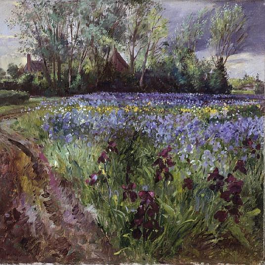 Iris Field, Storm Gathering, 1991  von Timothy  Easton