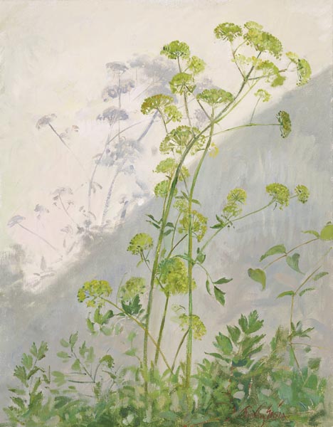 Lovage Against Diagonal Shadows, 1999 (oil on canvas)  von Timothy  Easton