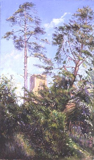 Pine Tree and Tower von Timothy  Easton