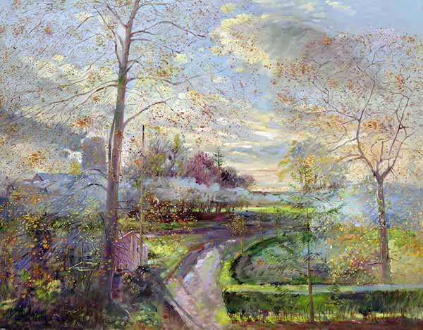 Smoke Drift, Autumn von Timothy  Easton