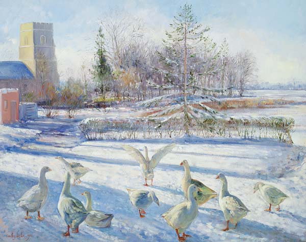 Snow Geese, Winter Morning  von Timothy  Easton
