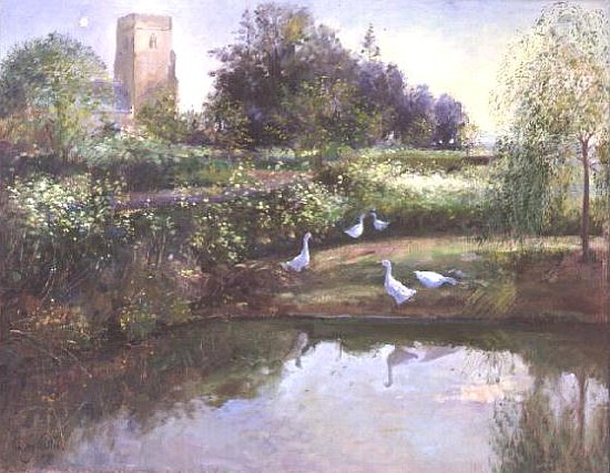 Sundown Reflections  von Timothy  Easton
