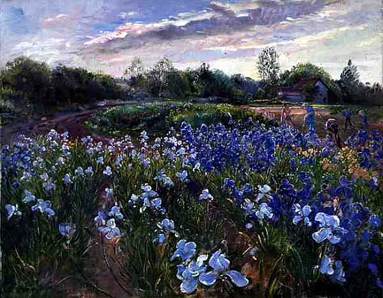 Sunsparkle on Irises, 1996 (oil on canvas)  von Timothy  Easton