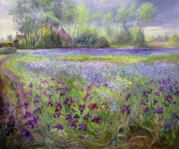 Trackway past the Iris Field, 1991  von Timothy  Easton