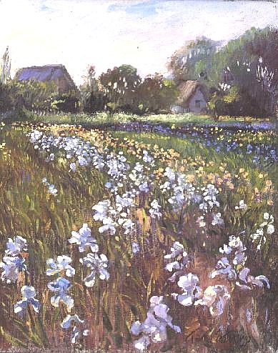 White Irises and Farmstead  von Timothy  Easton