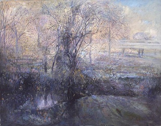 Wood Edge with Lifting Mist von Timothy  Easton