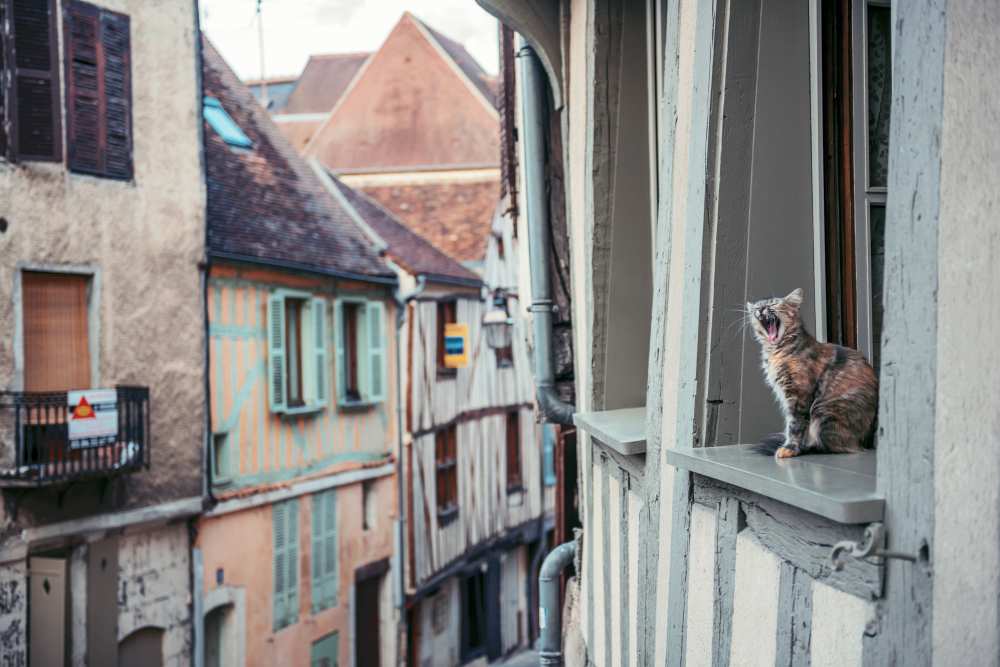 Territory von Timothy Entropy