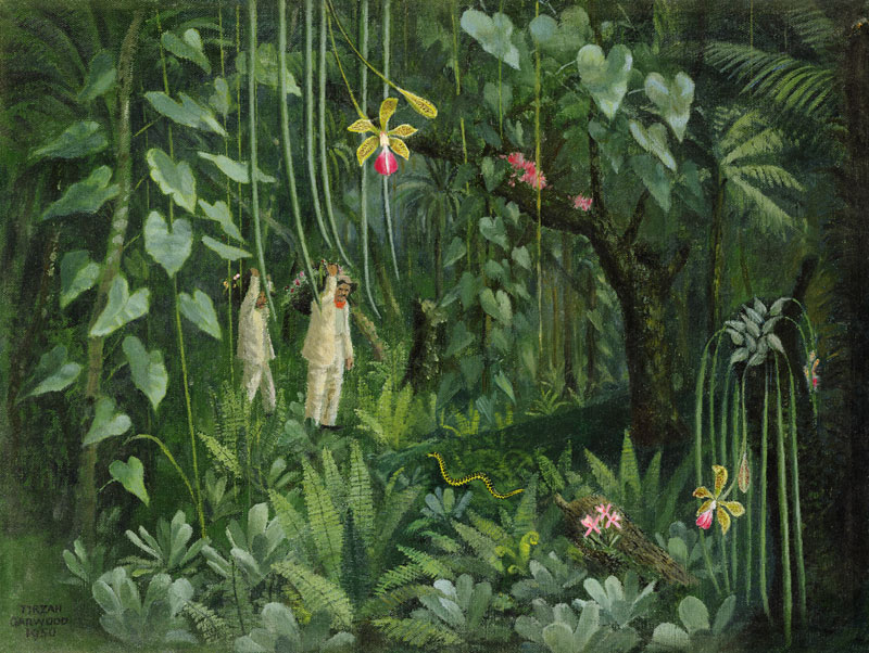 Orchid Hunters of Brazil von Tirzah Ravilious