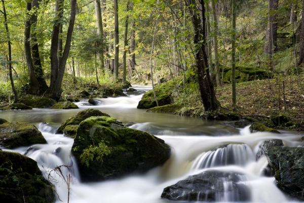 Wilder Fluss in einem Tal von Tobias Ott