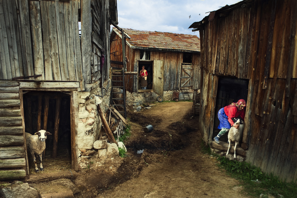 rural struggle von Todor Tanev