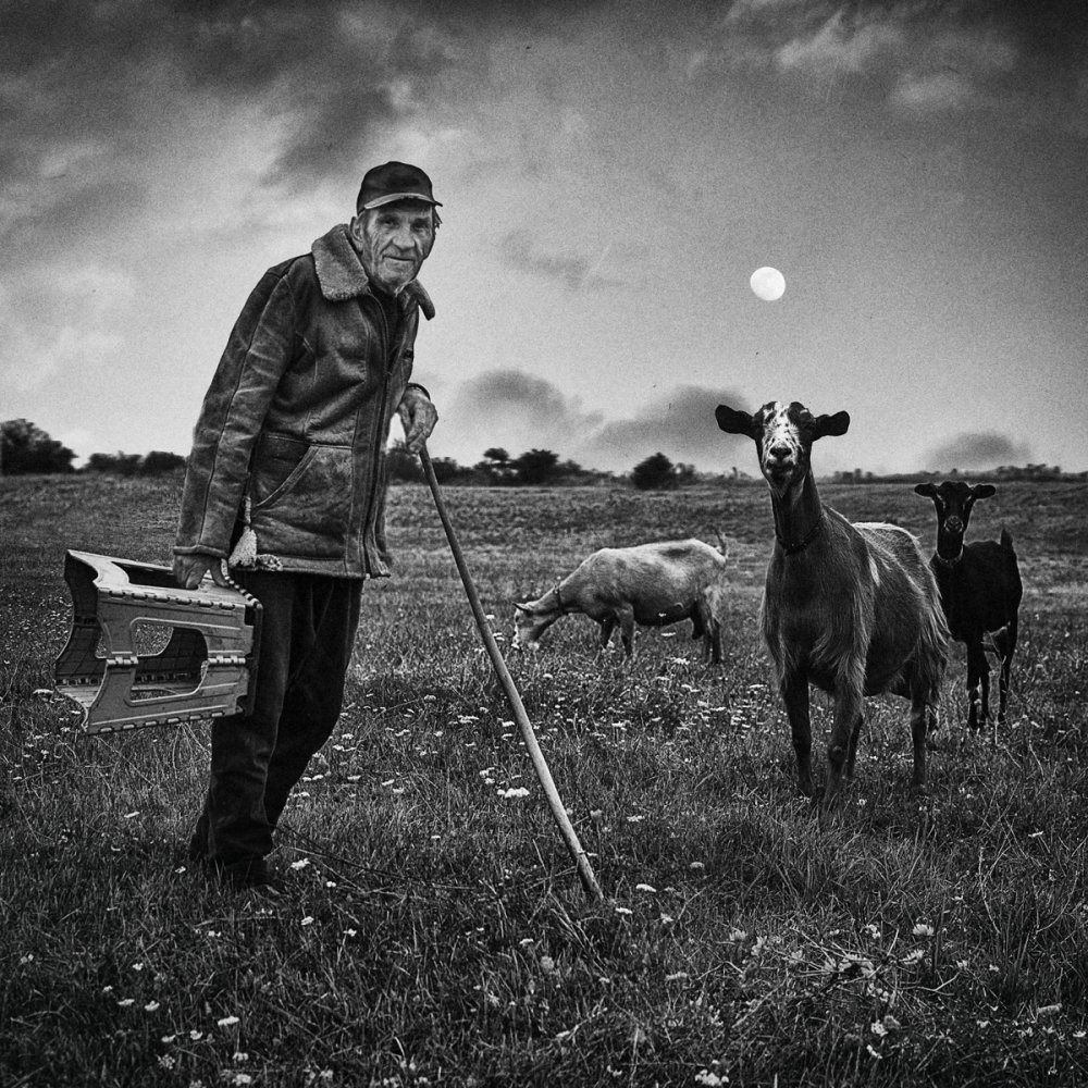 untitledl von Todor Tanev