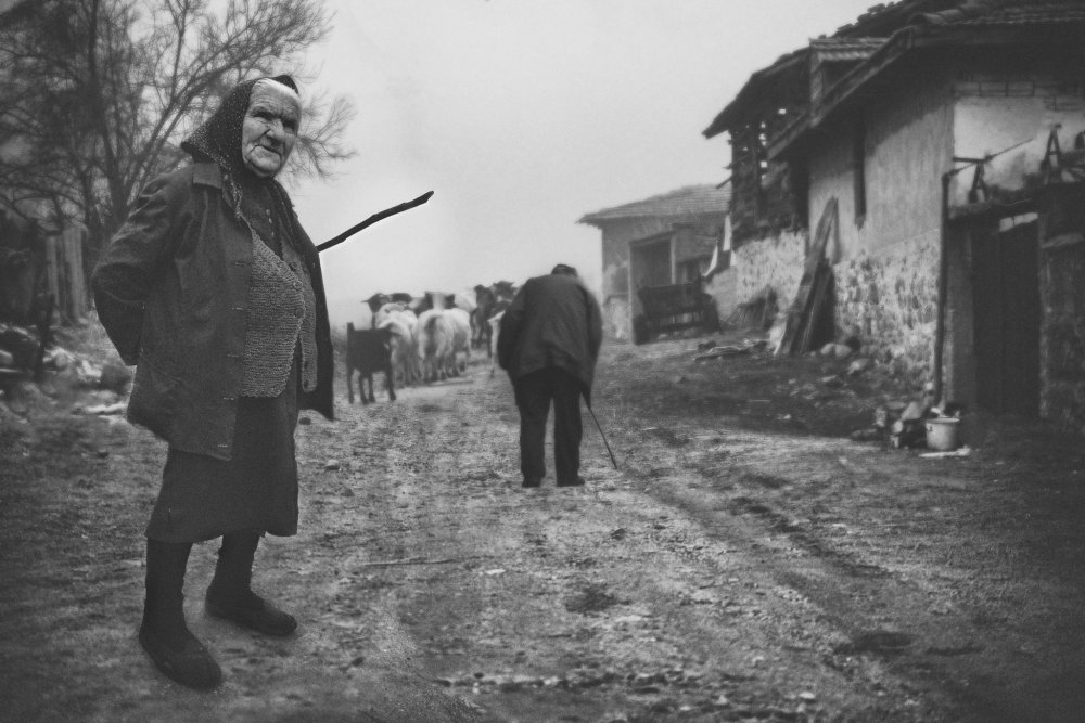 untitledl von Todor Tanev