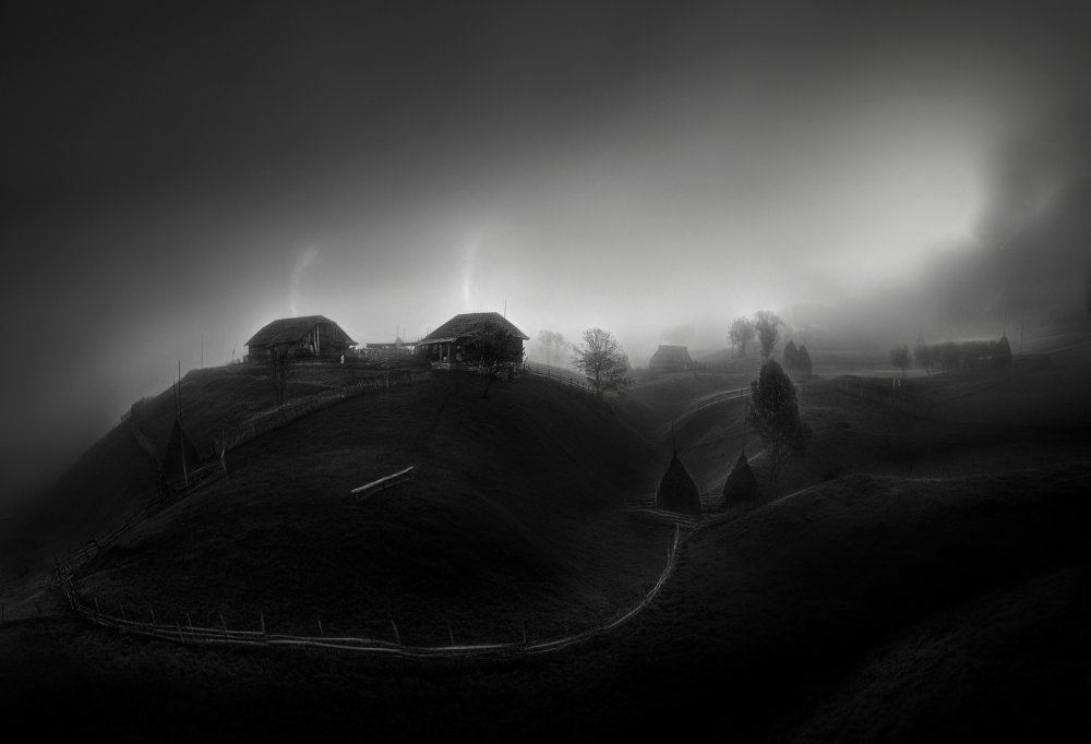 untitledl von Todor Tanev