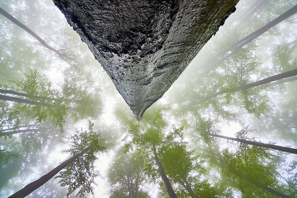 Looking up von Tom Pavlasek