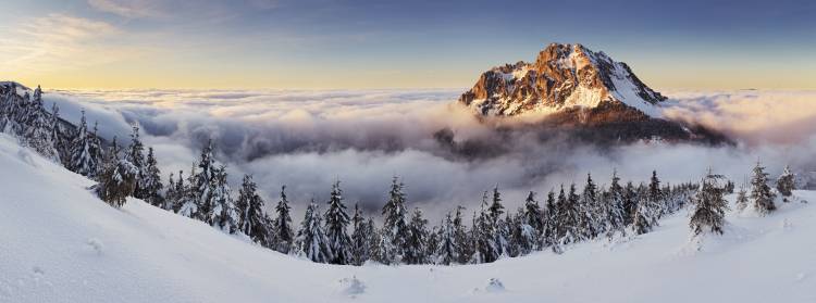 Golden Peak von Tomas Sereda