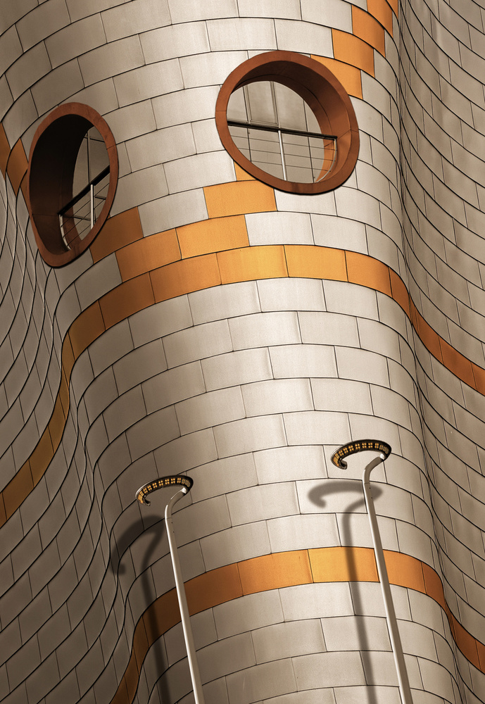 insect von Tomasz Buczkowski ( Tomush )