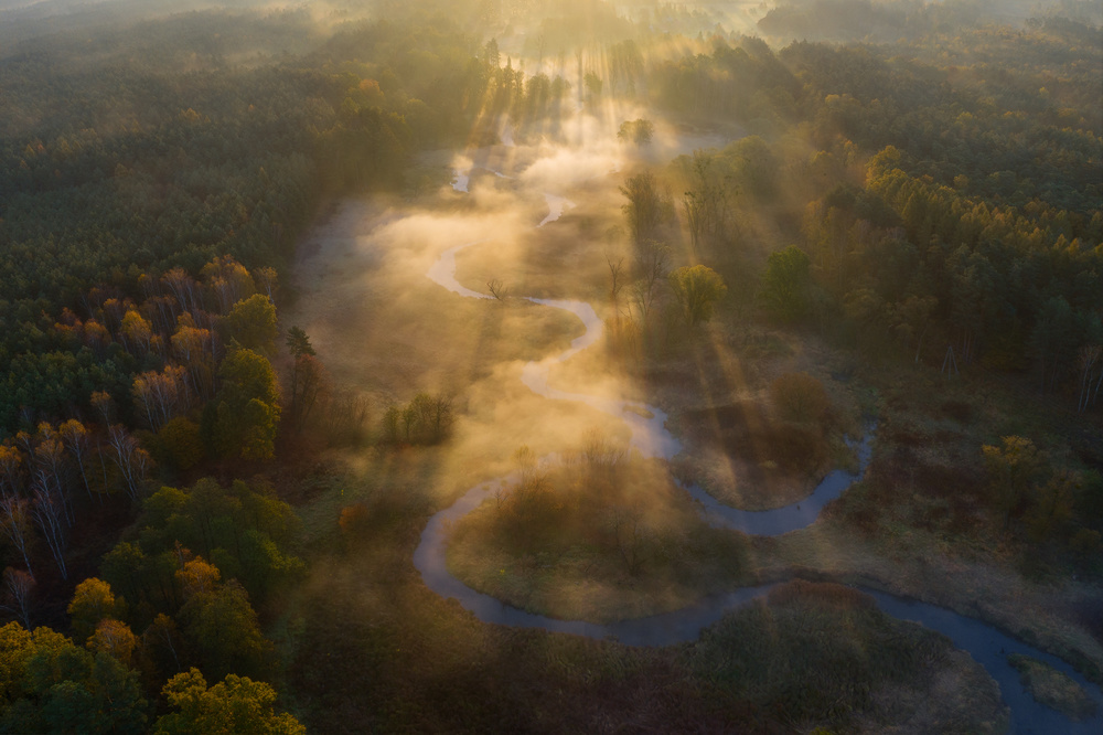 untitledl von Tomasz Rojek