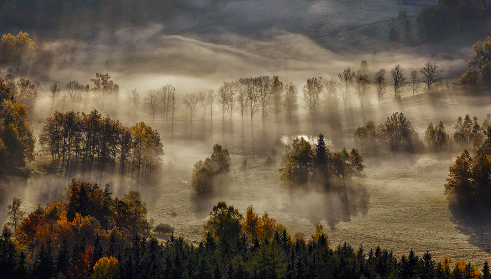 untitledl von Tomasz Rojek