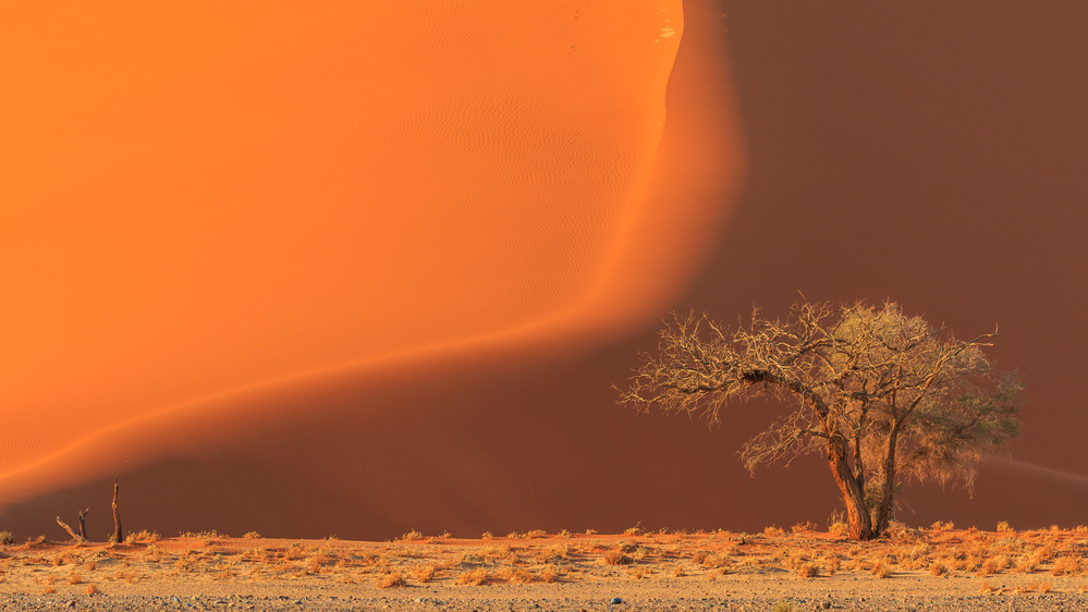 Untouched beauty von Tomasz Wozniak