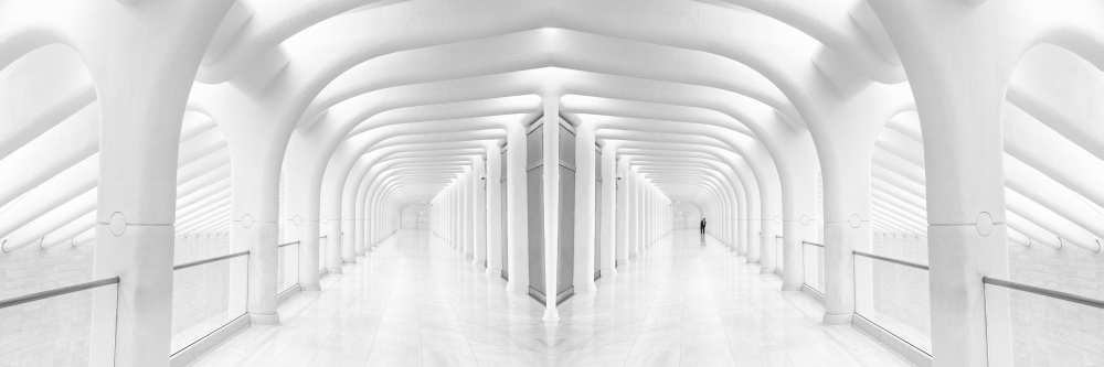 Rib Cage von Tomer Eliash