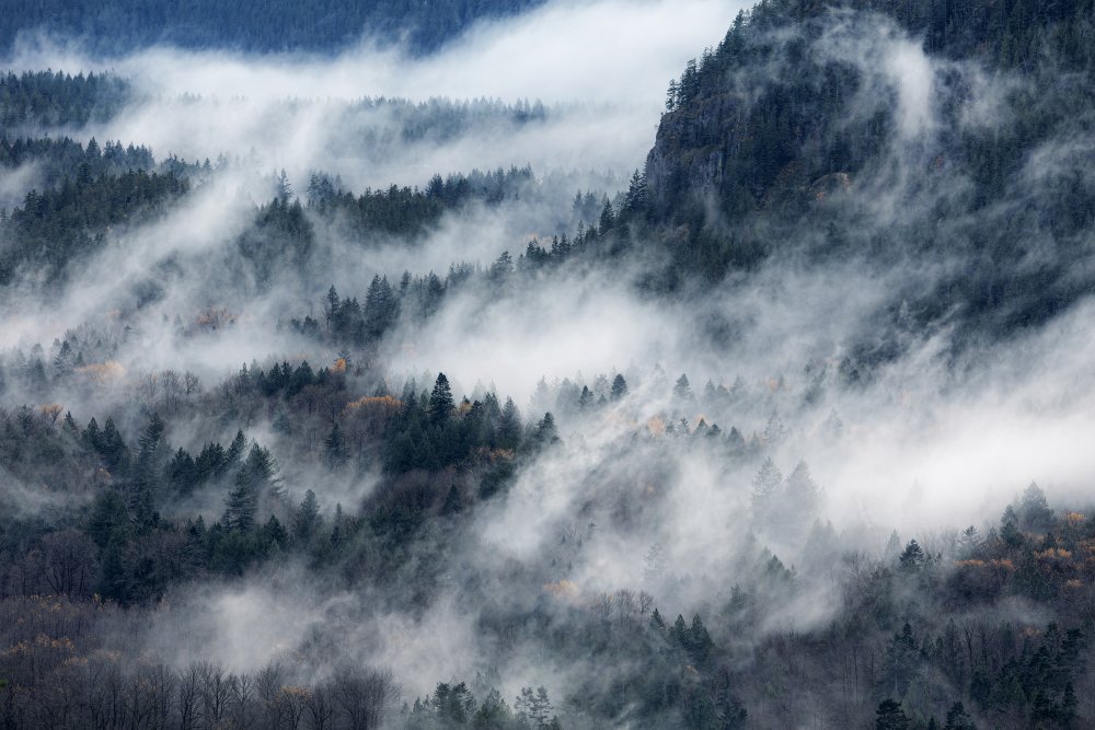 A valley in the fog von Tomomi Yamada